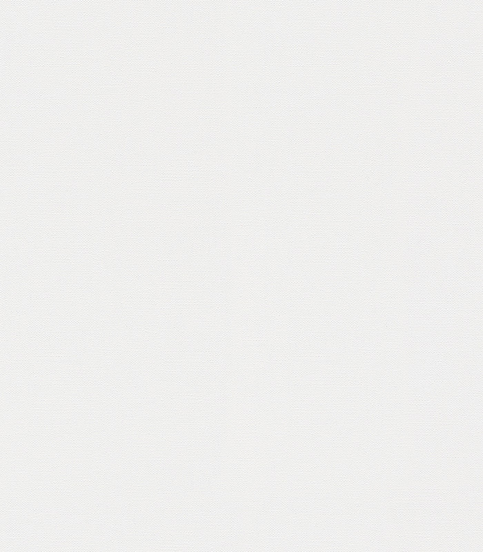 303081.jpg