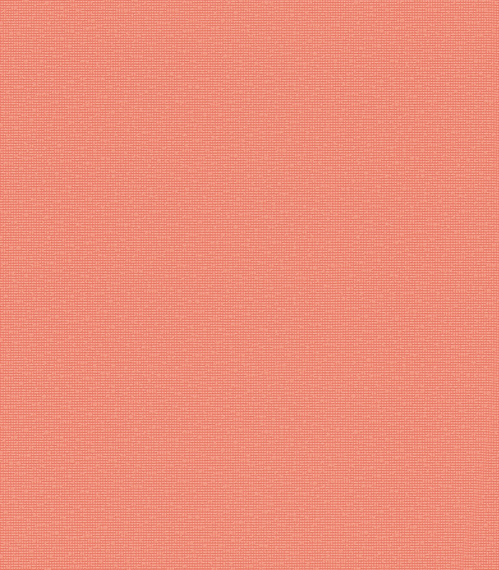 311658.jpg