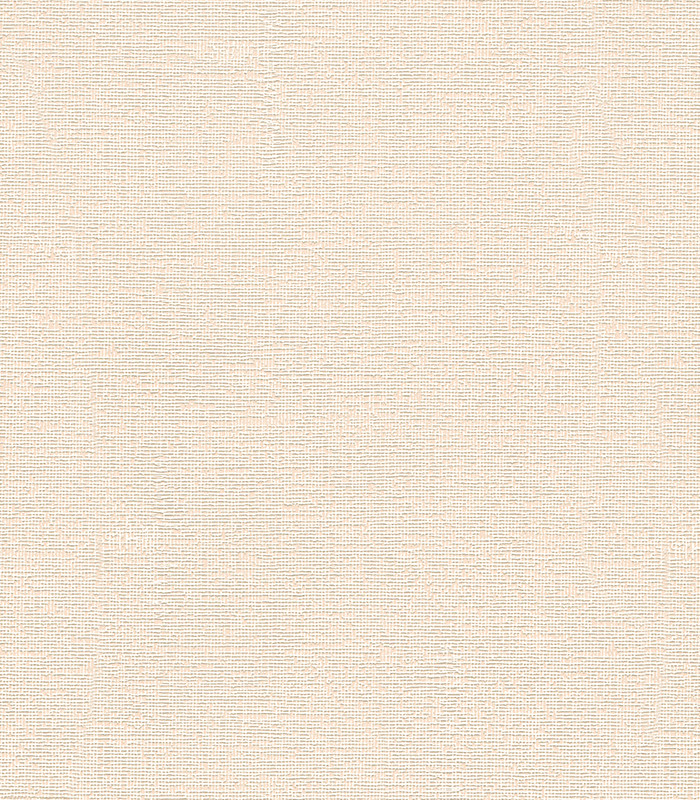 954972.jpg