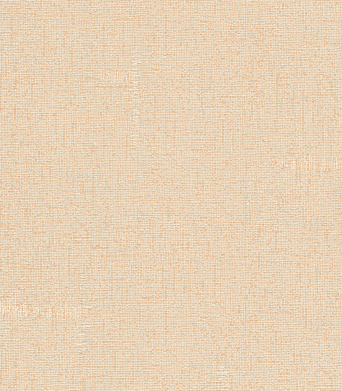 954974.jpg