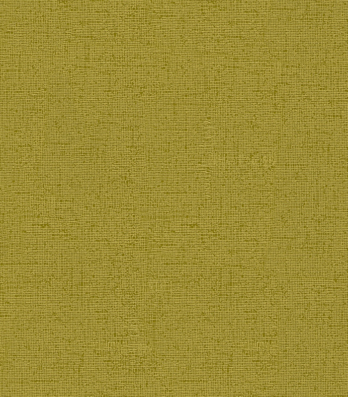 954976.jpg