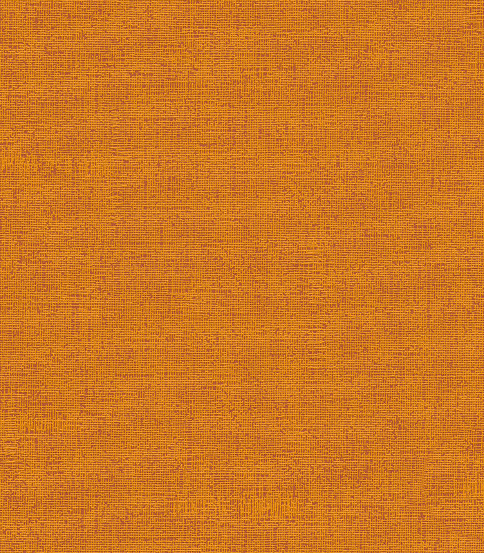 954977.jpg