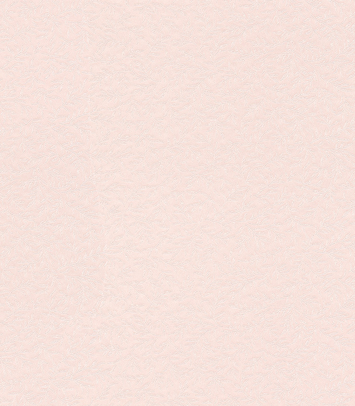 955161.jpg