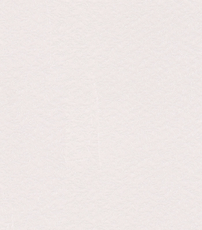 955162.jpg