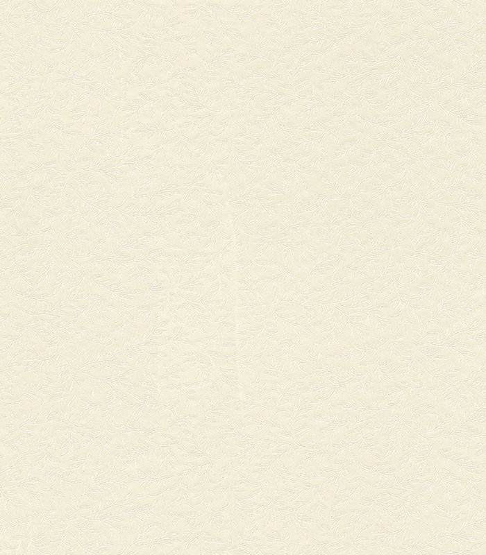 955163.jpg