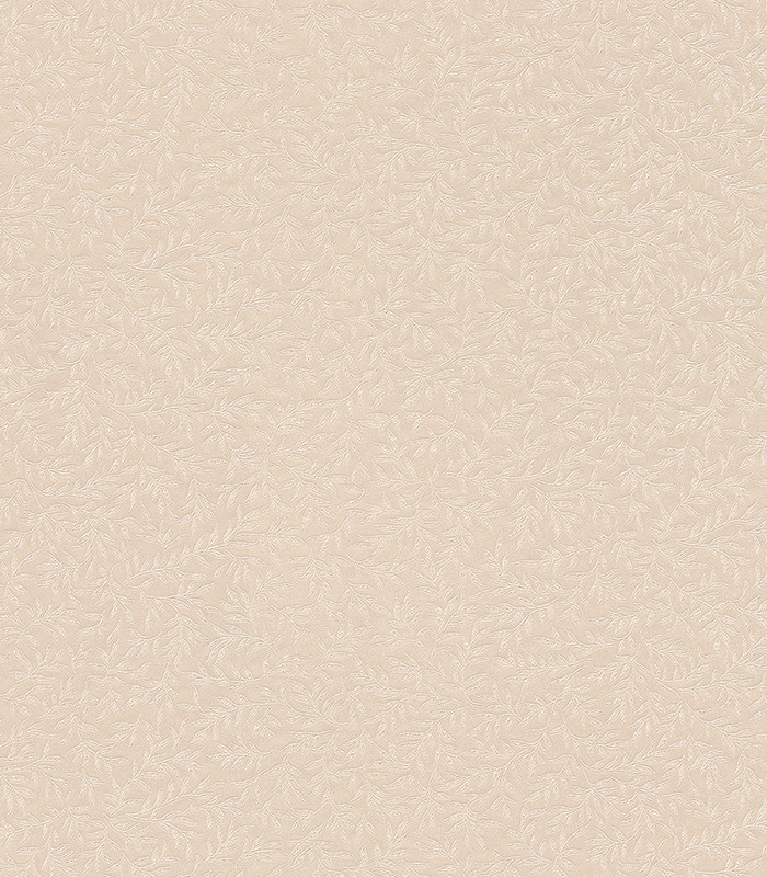955164.jpg
