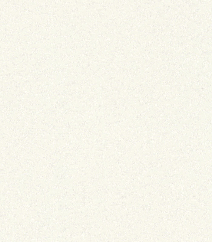 955165.jpg
