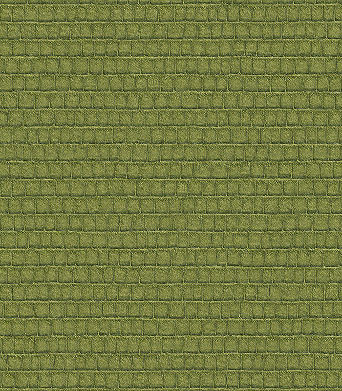 955275.jpg