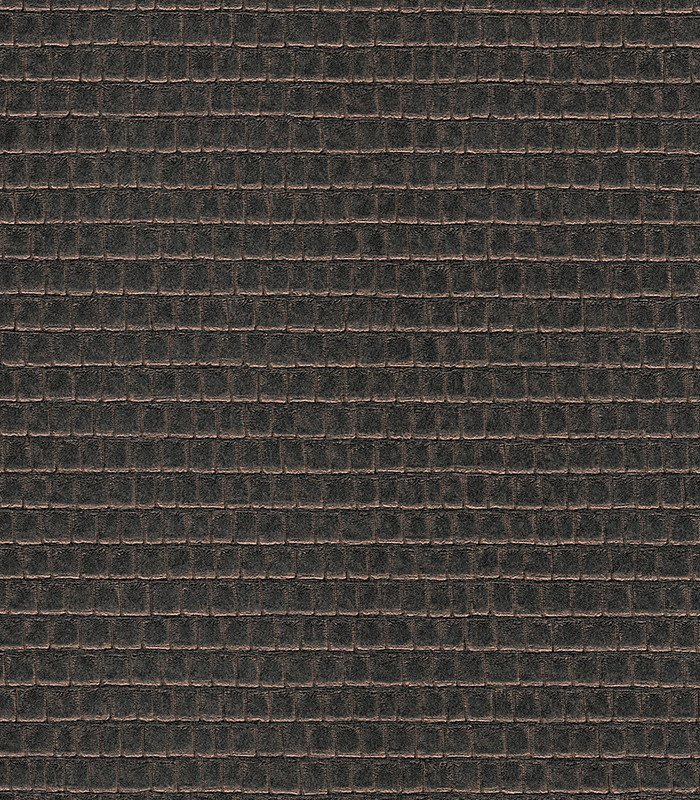 955277.jpg