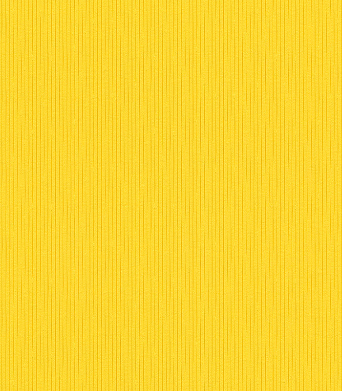 955849.jpg