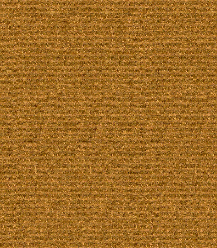 956575.jpg