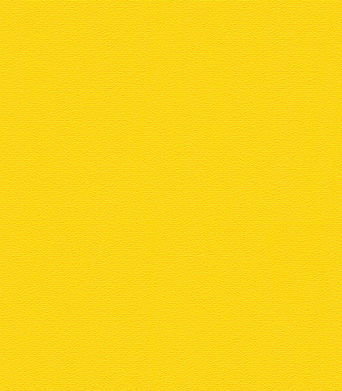 956576.jpg