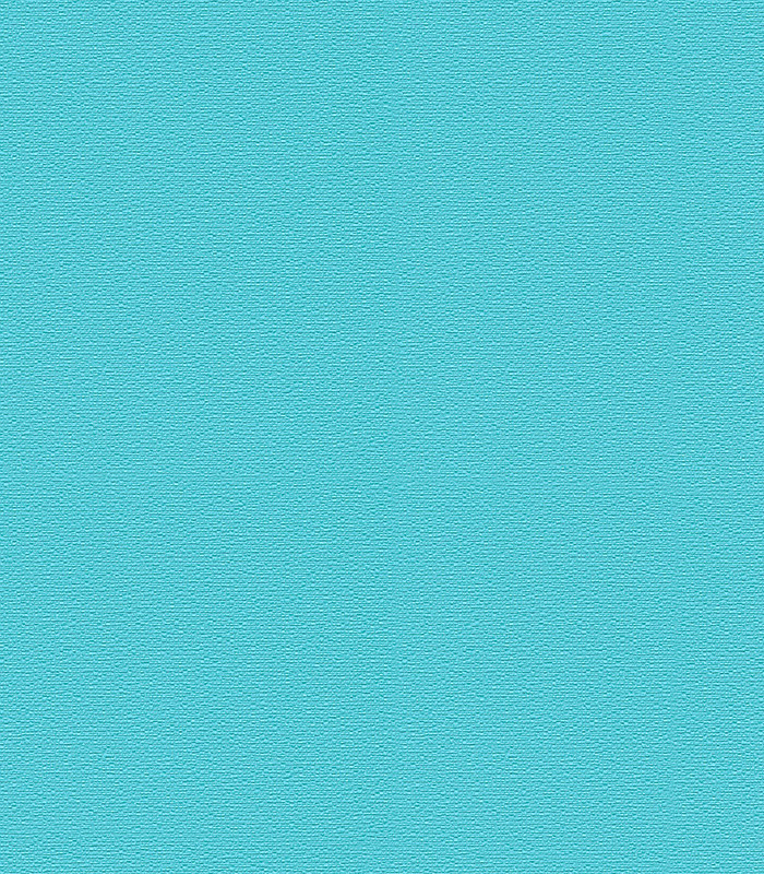 956581.jpg
