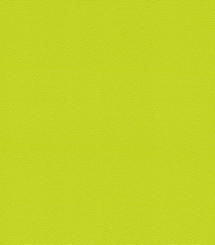 956582.jpg