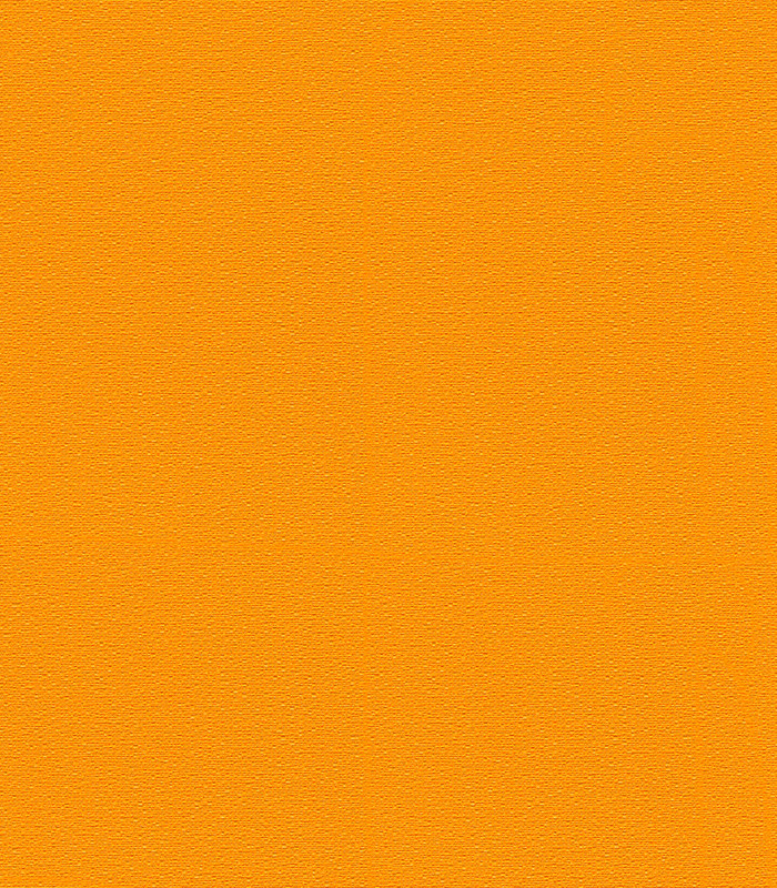 956586.jpg