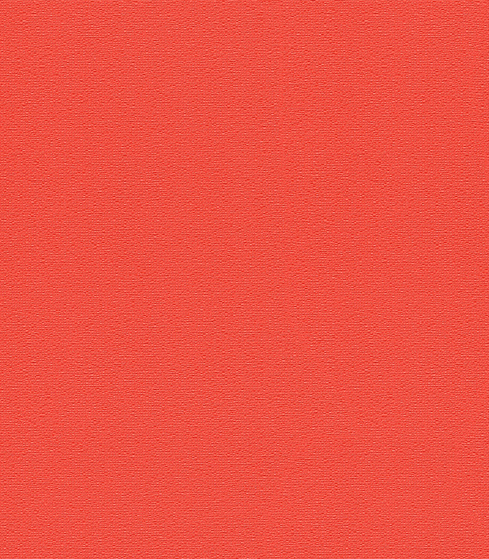 956587.jpg