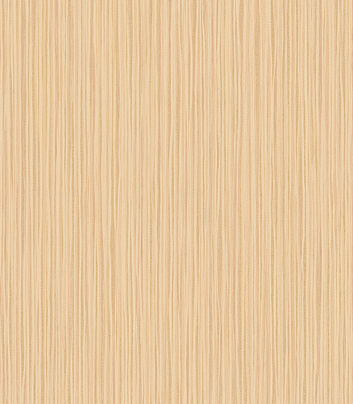 956641.jpg