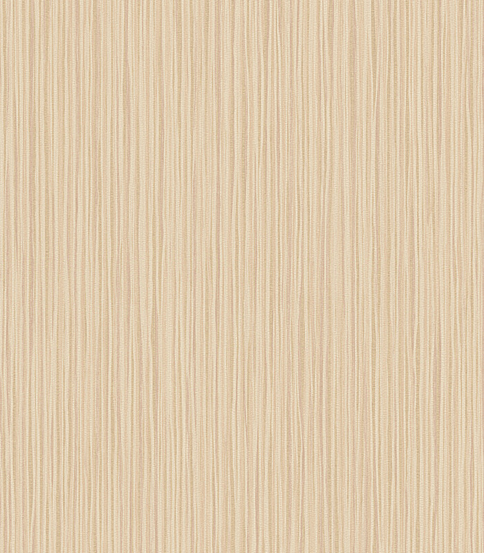 956644.jpg