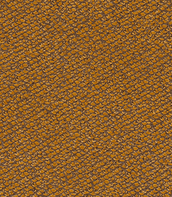 956982.jpg