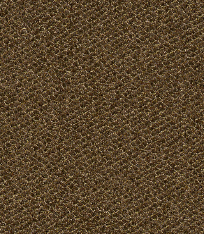 956983.jpg