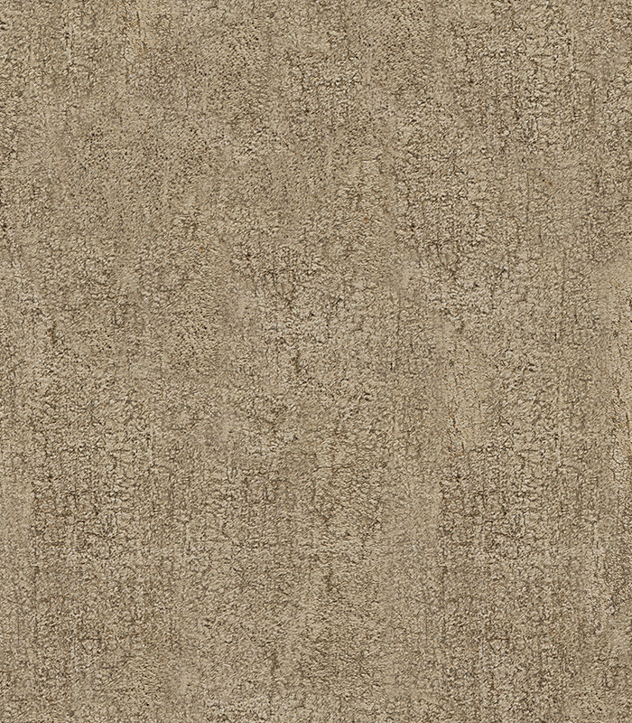 959202.jpg