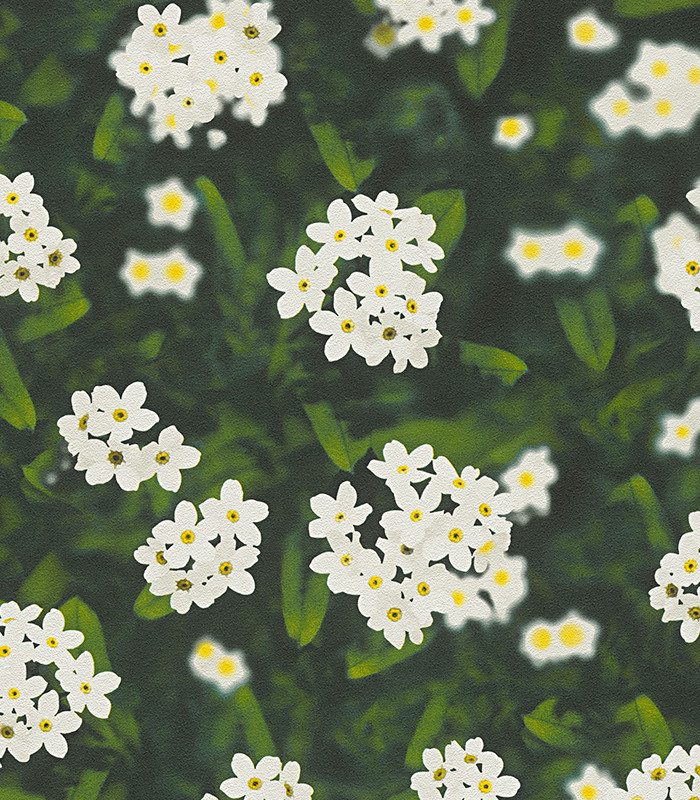 959321.jpg
