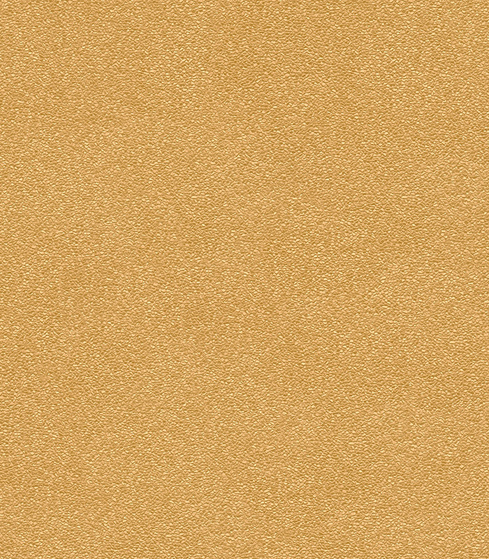 959823.jpg