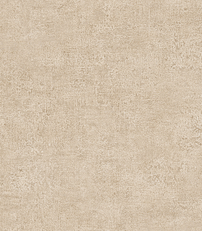 960794.jpg