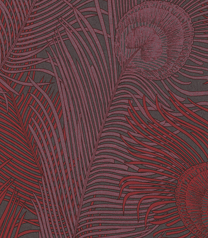 961083.jpg