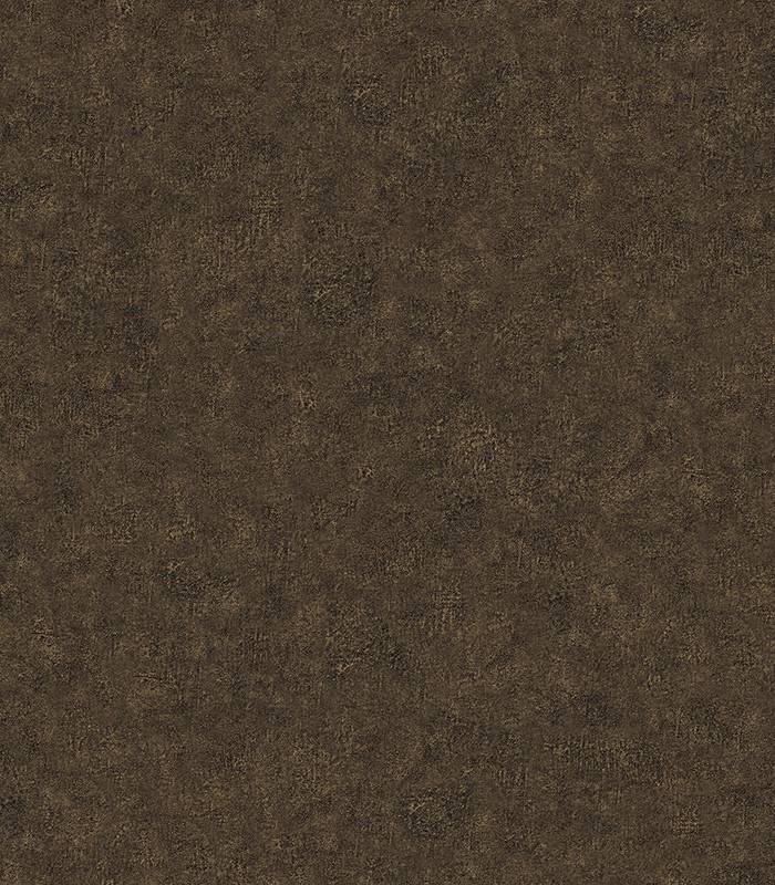962181.jpg