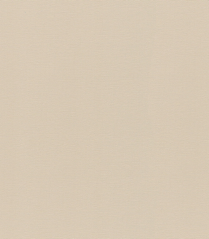 964113.jpg