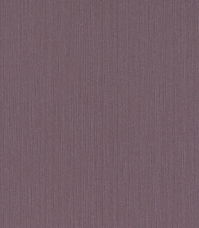 965110.jpg